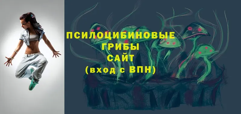 Псилоцибиновые грибы MAGIC MUSHROOMS  OMG вход  Вилюйск 